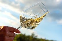 Volterra wines, sensory emotions of organic farming