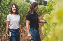 Wines and flavors of Bolgheri territory
