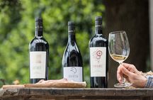 Wines and flavors of Bolgheri territory