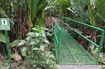 Anura Eco-tour guided by a biologist