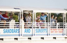 Anna Maria Island Dolphin Sightseeing Adventure 
