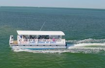 Anna Maria Island Dolphin Sightseeing Adventure 