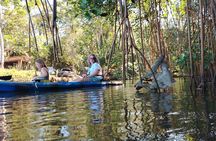 Kayak and Sloth Watching Tour. 