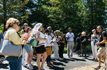 Napa and Sonoma Wine Country Full-Day Tour from San Francisco