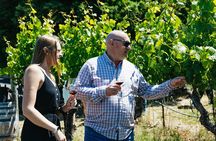 Napa and Sonoma Wine Country Full-Day Tour from San Francisco