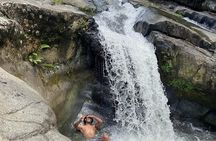 The Best Rainforest Experience in Puerto Rico