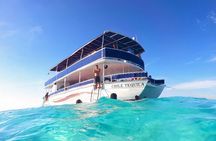 Cozumel Catamaran Tour: Snorkel at Top Reefs & Open Bar