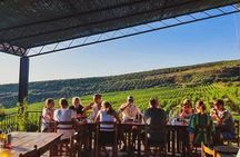 Durrës Countryside Vineyard Experience with Wine & Food Pairing