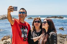 Full Day Tour from San Francisco