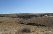 Experience an Archeological Tour in Cañada de la Virgen