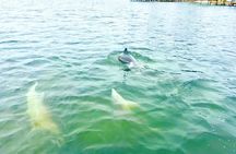 Private Cruise Tour at Orange Beach Gulf Shores
