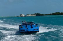 Explore Shipwreck and Hidden Island Beaches in 1-Hour Jetcar Tour