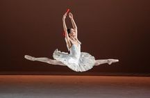 Mexico Authentic Folk Ballet Xochimilco and Coyoacán