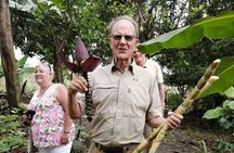 Finca Cocoa and Tropical Fruit with Free Typical Cooking Class