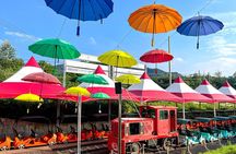 Eobi Valley(Winter), Strawberry, Nami Island & Railbike fr Seoul