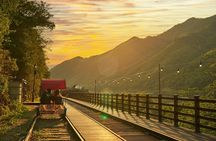 Day Trip to Nami Island with Rail bike and The Garden of Morning Calm