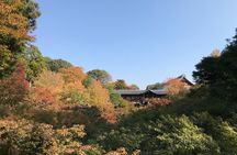 Kyoto Guided Walking Tour: Secret Zen Garden and Fushimi Inari