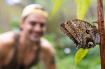 Rainforest Aerial Tram Tour in Jaco, Costa Rica