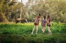 Elephant Sanctuary with Thai Cooking Experience in Chiang Mai