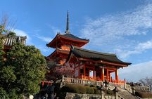 Kyoto Guided Walking Tour Highlight of Kiyomizu & Fushimi Inari