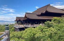 Kyoto Guided Walking Tour Highlight of Kiyomizu & Fushimi Inari