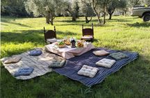 Matera : Gourmet Picnic among Centuries-Old Olive Trees and Views