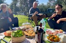 Matera : Gourmet Picnic among Centuries-Old Olive Trees and Views