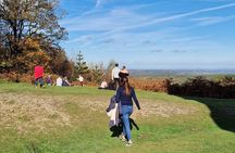 Surrey Hills full day tour with local guide 