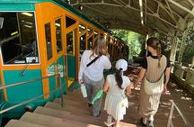 Kobe Nature Tour Exploring Rokko and Arima