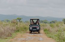 1-Day Mikumi National Park Fly-In Safari from Zanzibar