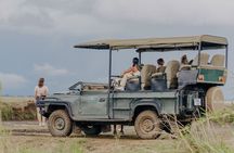 1-Day Mikumi National Park Fly-In Safari from Zanzibar