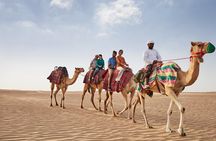 Dubai Sunset Desert Safari: Dune drive, Shows, Fort dinner & more