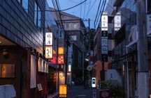 A Memorable Geisha Experience in Tokyo