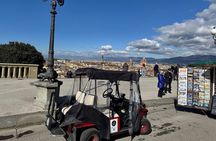 Florence Private Electric Car Tour with Guide
