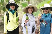 Finca Cocoa and Tropical Fruit with Free Typical Cooking Class