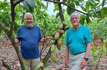 Finca Cocoa and Tropical Fruit with Free Typical Cooking Class