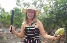 Finca Cocoa and Tropical Fruit with Free Typical Cooking Class
