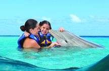Royal Garragon with Dolphin Encounter in Isla Mujeres
