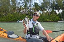 Kayaking with coastal wildlife in Sarasota Bay