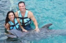 Royal Garragon with Dolphin Encounter in Isla Mujeres