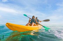 Royal Garragon with Dolphin Encounter in Isla Mujeres