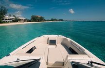 Private Half-Day Charter to StingrayCity,StarfishPoint&Snorkeling