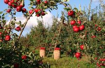 Big Almaty Lake and Legandary Almaty Apple Garden