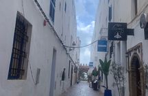 From Marrakech: Prívate Day Trip to Essaouira City