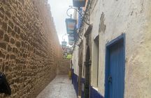 From Marrakech: Prívate Day Trip to Essaouira City