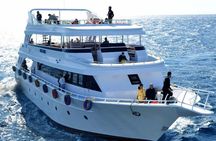 Sharm El Sheikh: Ras Mohamed & White Island Dive & Snorkel