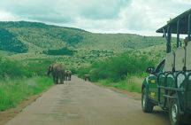 Pilanesberg national park tour-Open safari vehicle