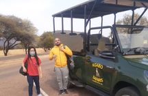 Pilanesberg national park tour-Open safari vehicle