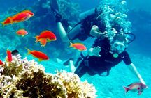 Sharm El Sheikh: Ras Mohamed & White Island Dive & Snorkel