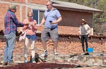 Wind TOUR: Mountains, Forests, Enigma Stones and Coffee Farms